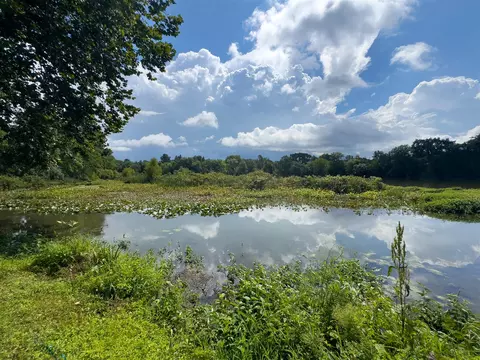 58568 Ash, Three Rivers, MI 49093 photo 6