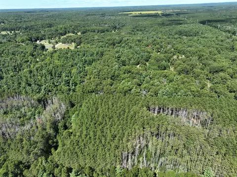 Vl Lot E 28th, White Cloud, MI 49349 photo 8