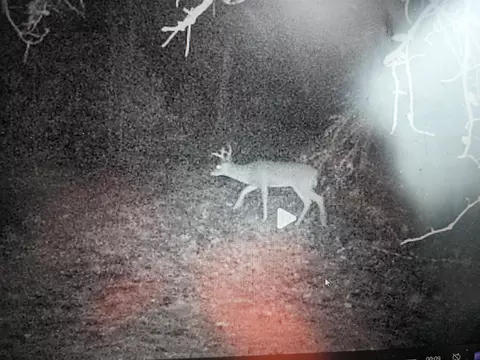 Vl Lot E 28th, White Cloud, MI 49349 photo 7