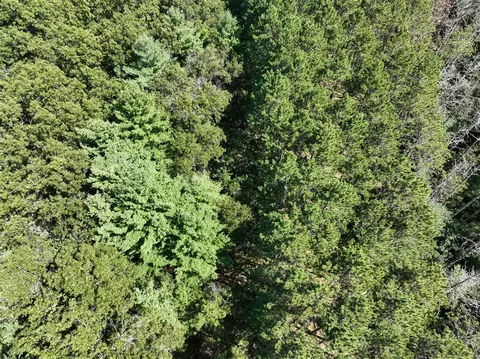 Vl Lot E 28th, White Cloud, MI 49349 photo 16
