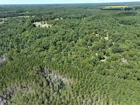 Vl Lot E 28th, White Cloud, MI 49349 photo 9