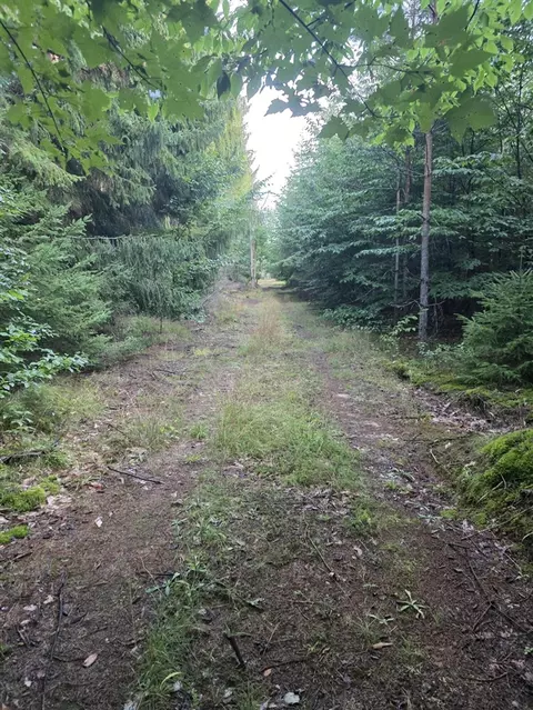 0 Read Rd, Copemish, MI 49625 photo 23