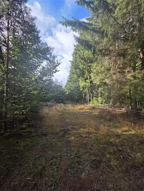 0 Read Rd, Copemish, MI 49625 photo 7