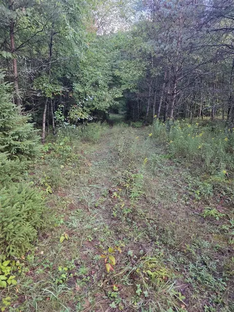 0 Read Rd, Copemish, MI 49625 photo 8