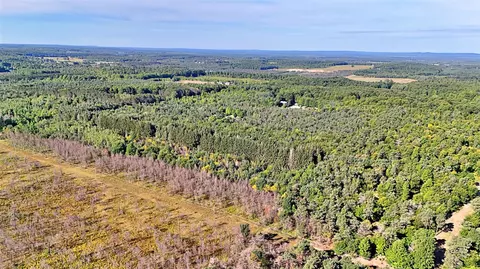 0 Read Rd, Copemish, MI 49625 photo 18