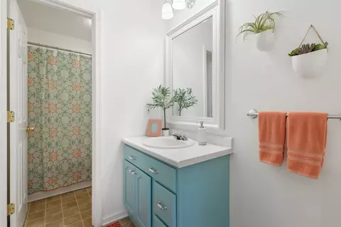 Bath - 254 Spruceview, Plainwell, MI 49080 photo 5 of 7