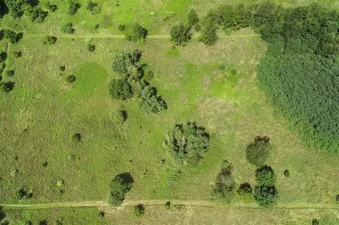 View/Area - 9100 Case, Brooklyn, MI 49230 photo 3 of 6