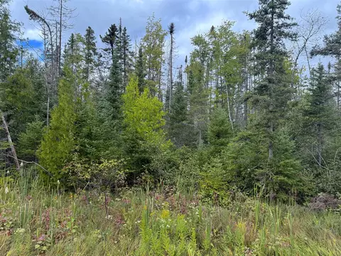 V/l County Road 581, Ishpeming, MI 49849 photo 3