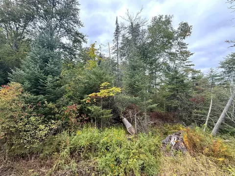 V/l County Road 581, Ishpeming, MI 49849 photo 4