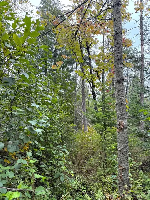 V/l County Road 581, Ishpeming, MI 49849 photo 9