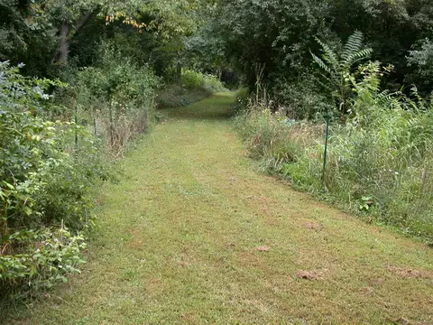 Other - 54768 Cranberry, Marcellus, MI 49067 photo 1 of 3