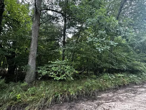 00 W 5 Mile, Irons, MI 49644