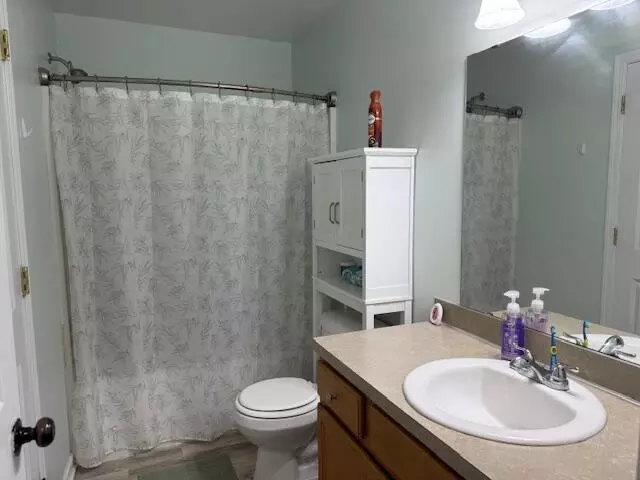 Bath - 4778 Blue Heron, Pierson, MI 49339 photo 1 of 2