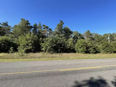 W Baseline, Mears, MI 49436