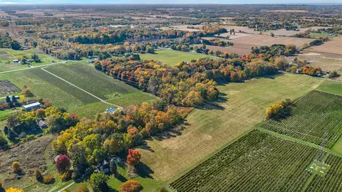 gray, Baroda, MI 49101