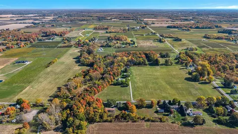 gray, Baroda, MI 49101