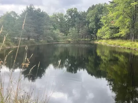 2269 W Treml, Free Soil, MI 49411