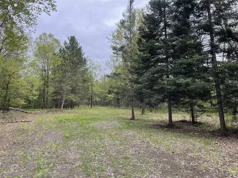 651 Boman, Gladwin, MI 48624 photo 24
