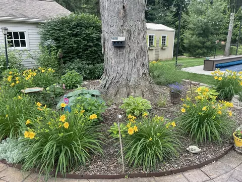Exterior - 3816 Stonewall, Jackson, MI 49203 photo 13 of 14