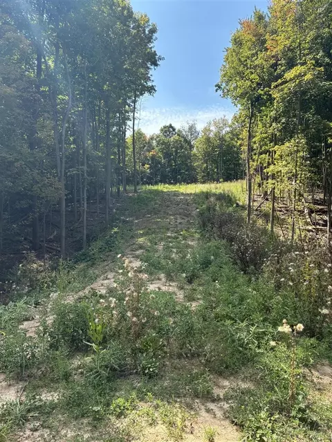 7701 Broadmoor, Caledonia, MI 49316
