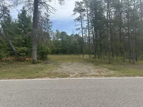 00 Spruce, Idlewild, MI 49642