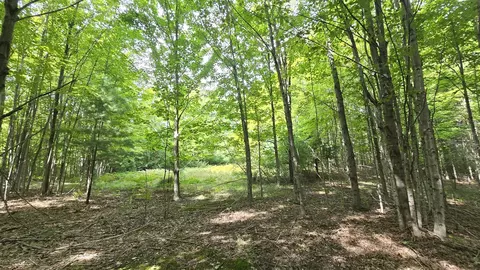 Lumley, Bear Lake, MI 49614 photo 5