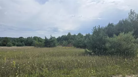 Lumley, Bear Lake, MI 49614 photo 38