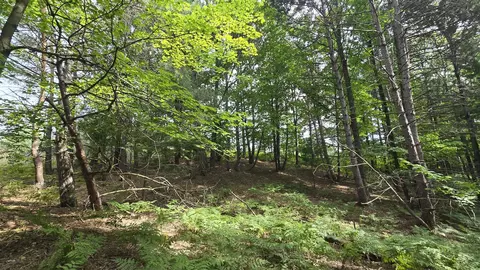 Lumley, Bear Lake, MI 49614 photo 45