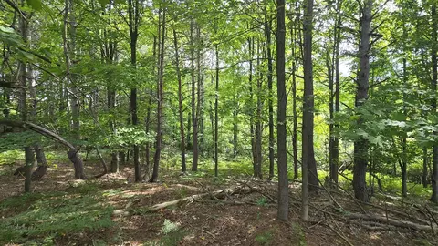 Lumley, Bear Lake, MI 49614 photo 43