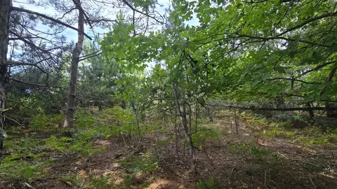 Lumley, Bear Lake, MI 49614 photo 42
