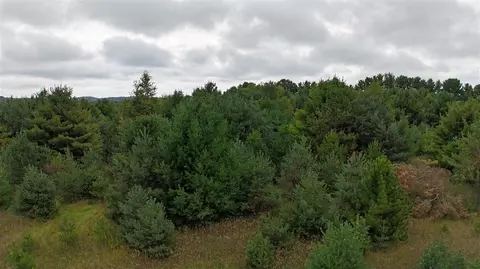 Lumley, Bear Lake, MI 49614 photo 29