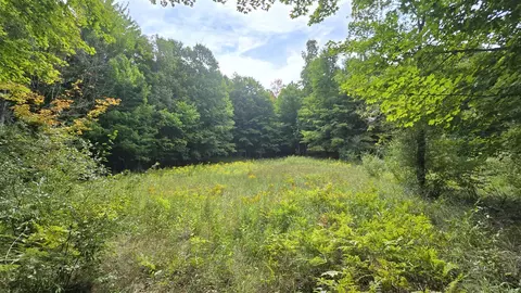 Lumley, Bear Lake, MI 49614 photo 6