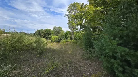 Lumley, Bear Lake, MI 49614 photo 36