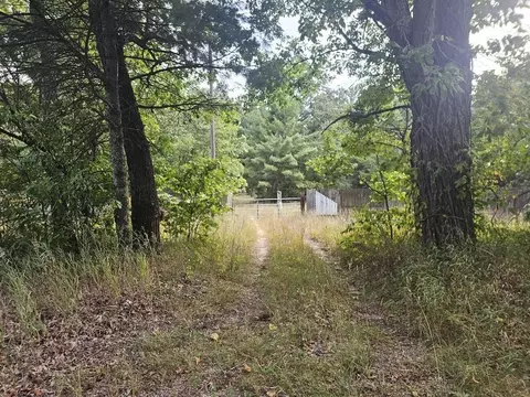 6 Acres Skeels, Holton, MI 49425