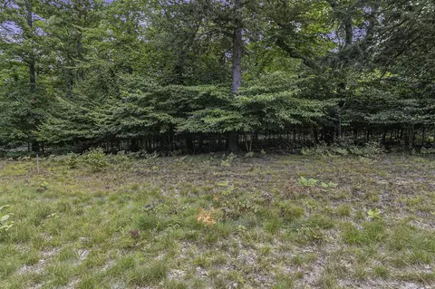 lot15 Pine, Mears, MI 49436 photo 19