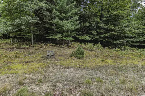 lot15 Pine, Mears, MI 49436 photo 8