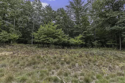 lot15 Pine, Mears, MI 49436 photo 13