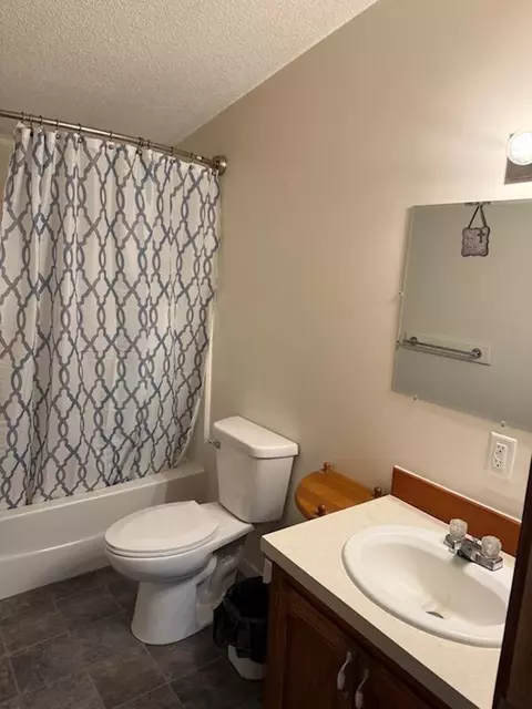 Bath - 14074 Elder, Grant, MI 49327 photo 2 of 4