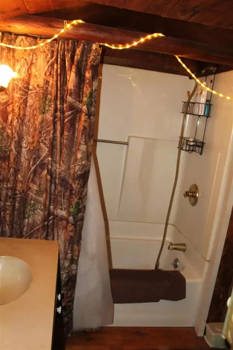 568 E Burke, Baldwin, MI 49304 photo 33