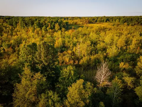 View/Area - 5820 Squires, Jackson, MI 49201 photo 16 of 19