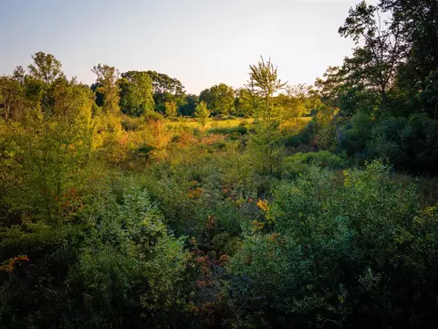 Other - 5820 Squires, Jackson, MI 49201 photo 4 of 31