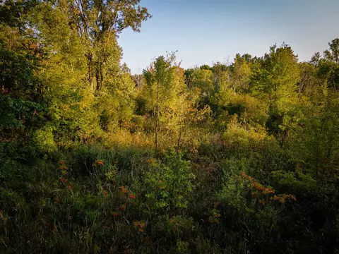 View/Area - 5820 Squires, Jackson, MI 49201 photo 17 of 19