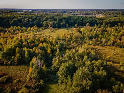 View/Area - 5820 Squires, Jackson, MI 49201 photo 7 of 19