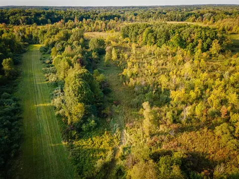 View/Area - 5820 Squires, Jackson, MI 49201 photo 10 of 19