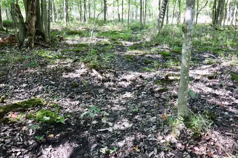 1231 Manor, Au Gres, MI 48703 photo 60