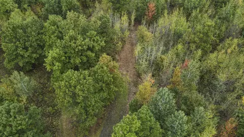 1231 Manor, Au Gres, MI 48703 photo 16