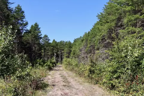 1231 Manor, Au Gres, MI 48703 photo 54