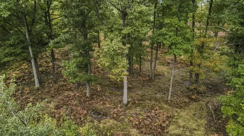 1231 Manor, Au Gres, MI 48703 photo 44