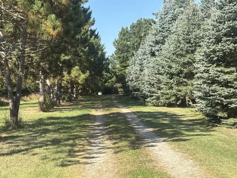 Exterior - 1170 Somers, Lyons, MI 48851 photo 31 of 32