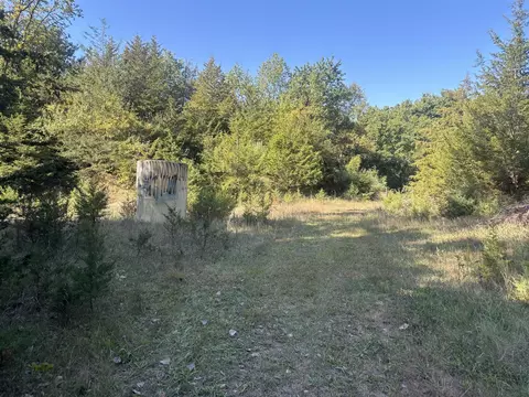 Exterior - 1170 Somers, Lyons, MI 48851 photo 24 of 32